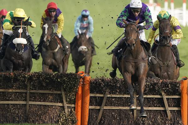 Stayers Hurdle: The most reliable option is having his first start in the race