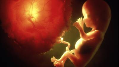 Court ruling could open Pandora’s box on rights of unborn
