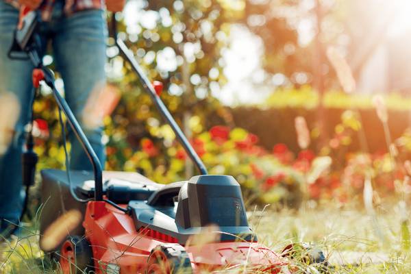 Americans more likely to be killed by lawnmowers than foreign terrorists
