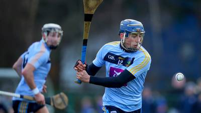 Fitzgibbon Cup: Ronan Hayes’s late frees earn UCD a draw