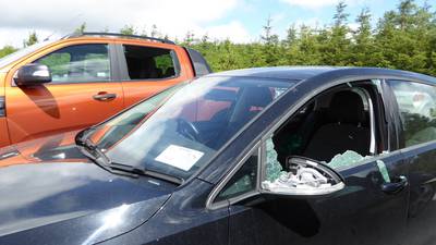 Wicklow car break-ins: Canadian appeals for return of marriage documents