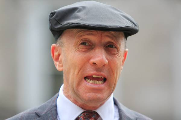 Michael Healy-Rae is Dáil’s biggest landlord and declares NYT shares