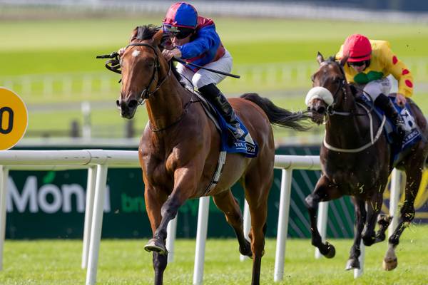 Ballydoyle eye Futurity stakes success with Luxembourg