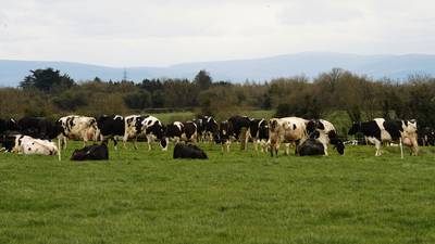 Government greenlights new agri-food strategy despite criticism