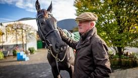 Willie Mullins: ‘Is this the year we have a blowout at Cheltenham? The expectation is so heavy’