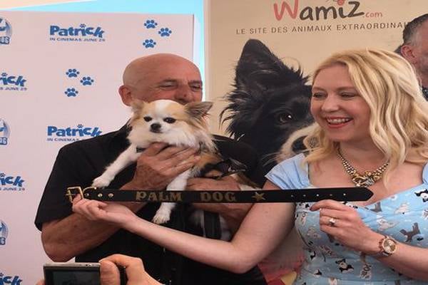 Cannes 2018: our correspondent goes to the dogs