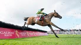Regally-bred Mystical Power has a lot to live up to in Punchestown feature  