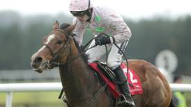 Faugheen upstaged by Nichols Canyon at Punchestown