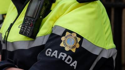 Man shoots at gardaí with pellet gun during attempted search and arrest incident in Longford