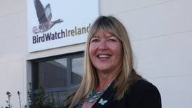 BirdWatch chief executive salary previously ‘way too high’ says incumbent