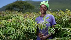 Gorta-Self Help Africa wins  €6.5m crop  project in Kenya