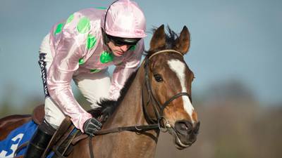 Vautour’s  Cheltenham ambitions back on track after easy win at Leopardstown