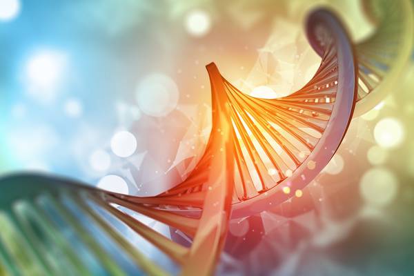 Man’s privacy breached when police kept DNA profile, ECHR rules