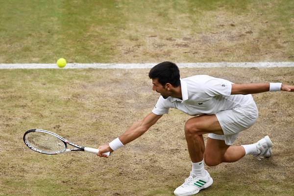 Novak Djokovic growls and swipes at holes in Wimbledon ground