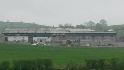 Deaths of thousands of pigs in NI  farm blaze investigated