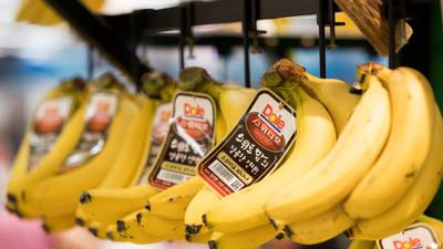 Total Produce pays €21m dividend to parent company Dole