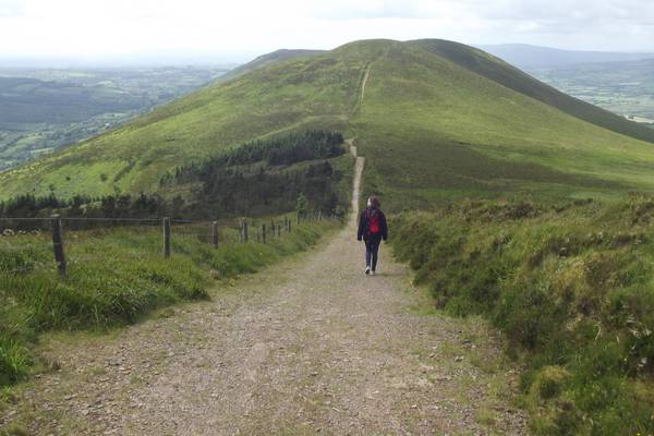 Walk for the weekend: Sublime serenity of Silvermines Ridge