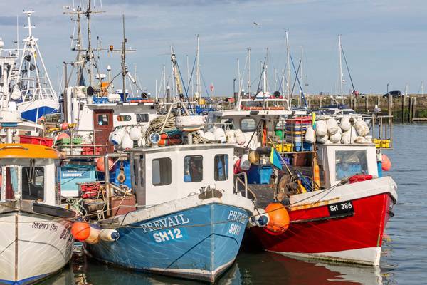 Stephen Collins: Common sense must prevail in Brexit fisheries row