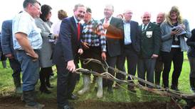 National Ploughing Championships to return to Stradbally