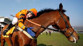 Brilliant Thistlecrack being primed for 2017 Gold Cup