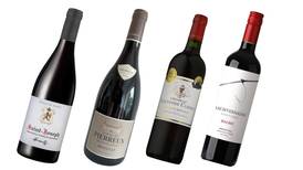 Wine bargains to watch out for in the autumn sales 