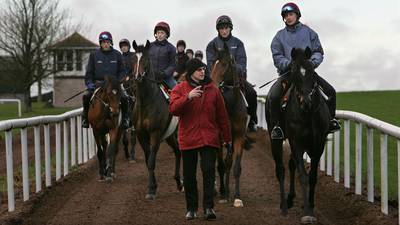 Ballydoyle fails to secure exemption on working hours for stable staff