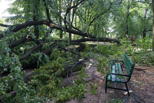 Five killed during severe storms in Poland