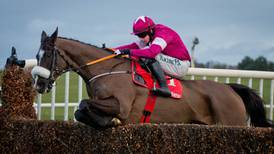 Willie Mullins to make call on headgear for Don Poli