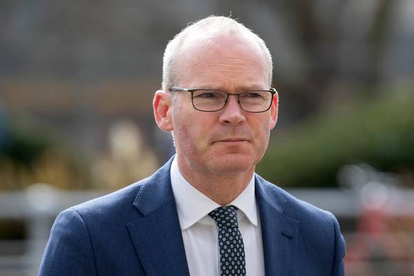 Ireland must respond to world’s ‘unstable security environment’, Coveney says