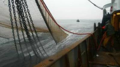 Use of illegal migrants on Irish trawlers a ‘national disgrace’