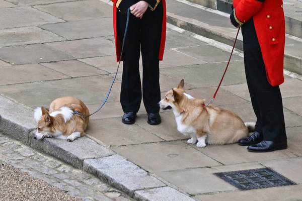 Queen Elizabeth’s funeral in numbers — from queue lengths to the corgis