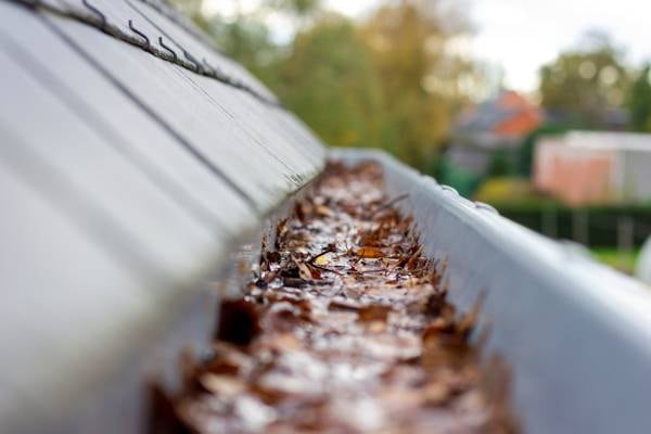 Tempted to hire cold callers to clear your gutters? Just say no