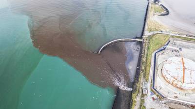 Failure of Ringsend tank led to sewage discharge into Dublin Bay