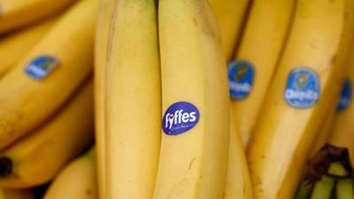 Bid to scupper Chiquita and Fyffes merger