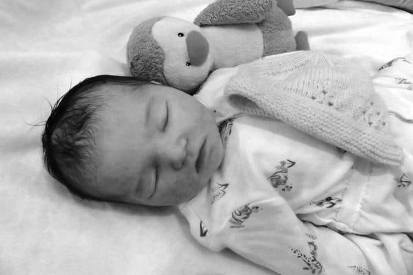National Maternity Hospital apologises to parents of baby who died six days after being born