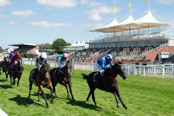 Mohaather bursts through late on to win Sussex Stakes