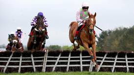 RACING:  Annie Power lined up for Cheltenham  after minor injury revealed