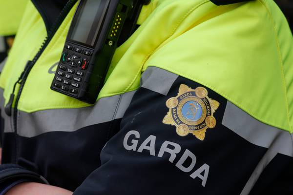 Pit bull terrier shot in Cork by garda emergency response unit after attack on woman