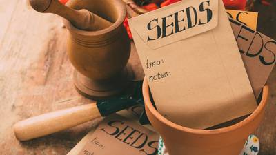 Gardening: How to home-save seed to help ensure supply