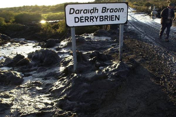 Appeals board ruling ‘casts major doubt over legality’ of Derrybrien wind farm