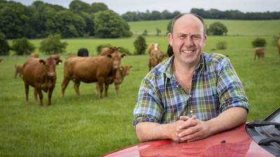 Antrim beef farmer finds a key to cutting agricultural emissions