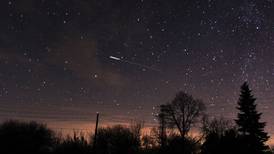 Most spectacular meteor shower of year takes place on Wednesday and Thursday night
