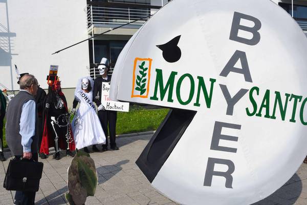 US peach farmer awarded $265m damages from Bayer and BASF