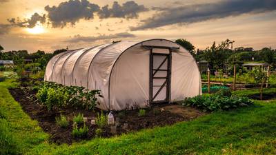 Tunnel vision: Undercover gardening extends the growing season at both ends