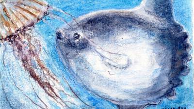 Another Life: Here comes the sunfish