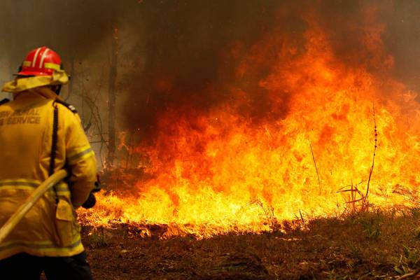 Australian state declares emergency as wildfires continue