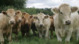 Irish meat industry ‘focused on ensuring it is as sustainable as possible’