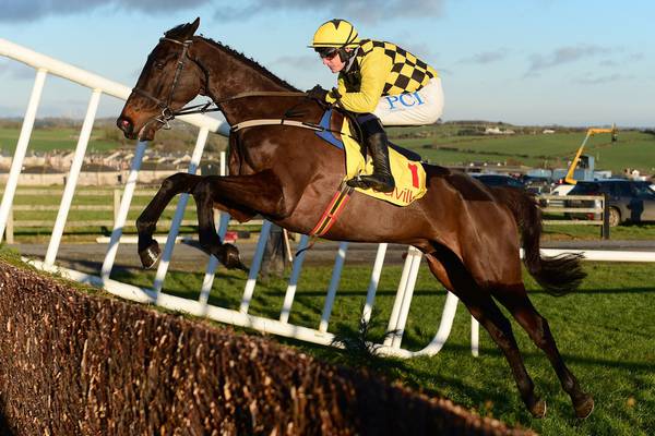 Irish still on course to to rule the roost at Cheltenham