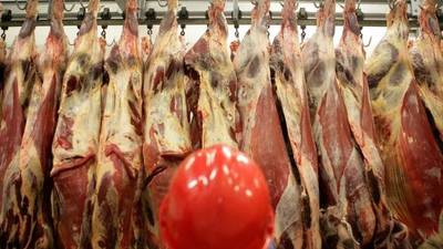 Covid-19: Nine unannounced inspections of meat plants undertaken by HSA since March