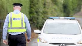 Farmer in his 70s dies in accident on Co Limerick farm